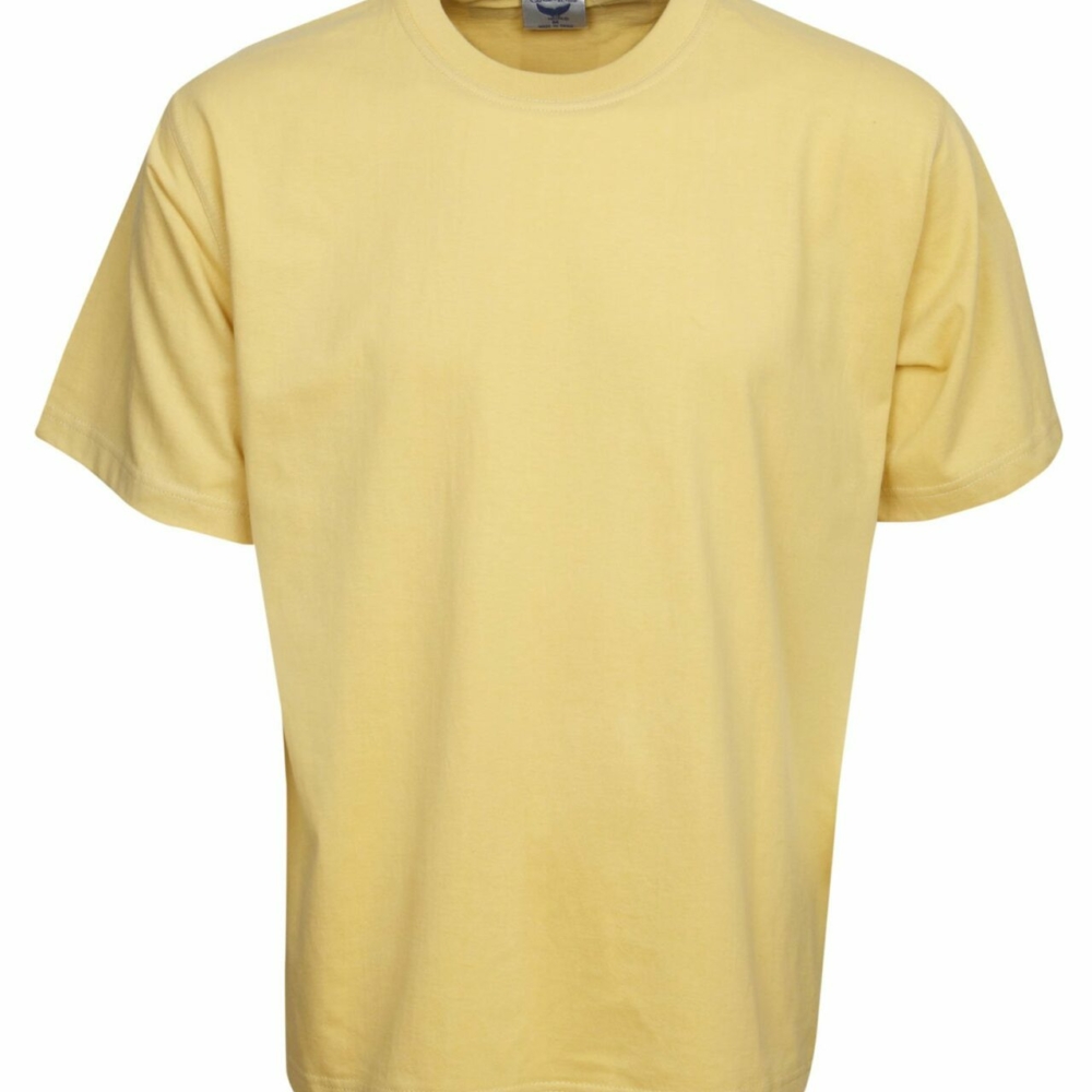 T04-Premium Pre - Shrunk Cotton T-shirt online Australia - Aj Safety